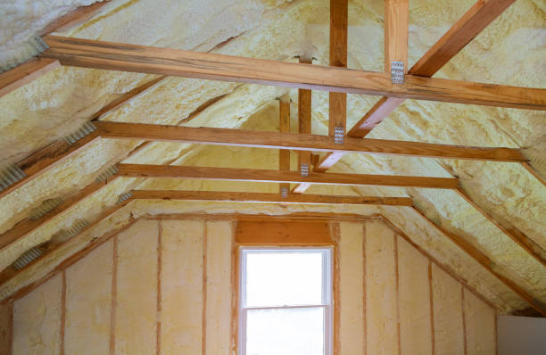 Best Cellulose Insulation  in Giddings, TX