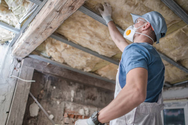 Best Energy-efficient Insulation  in Giddings, TX