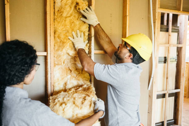 Best Soundproof Insulation Installation  in Giddings, TX