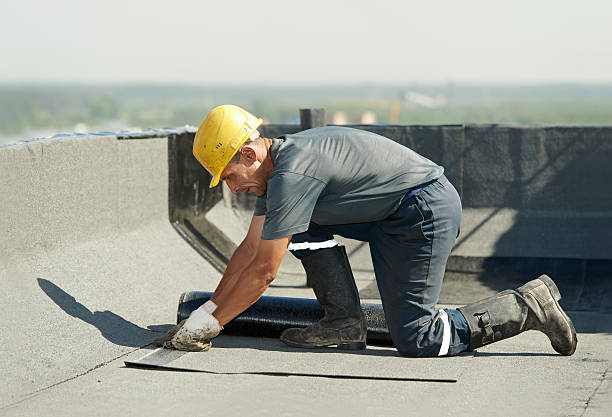 Best Best Insulation Companies  in Giddings, TX